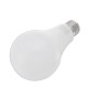 AC220-240V E27 20W SMD2835 Warm White Pure White LED Globe Light Bulb for Indoor Home Decoration