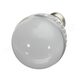 E27 5W LED Bulb Warm White/White AC110-240V LED Globe Light Bulb