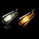 Amber Shell E27 / E26 ST58 6W COB 220V Edison Retro Light Blub Squirrel Cage Not Dimmable Warm White 600lm