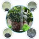 7V 1.4W 200L Floating Water Pump Fountain Decoration Butterfly Shape Solar Panel Garden Plants Watering Power Pool Fountain