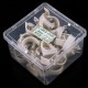 50/100Pcs 3.5-25mm Network Cable Nails Steel Nails Network Cable Trough Line Clips Sub-clamps with Plastic Box