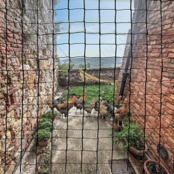 3m Wide Series Bird Vegetables Pests Multi-purpose Net 3m Wide Series Bird Vegetables Pests Multi-purpose Net