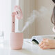 2 In 1 Rotating Spray Air Humidifier Fan USB Charging 3 Gears White Pink Blue