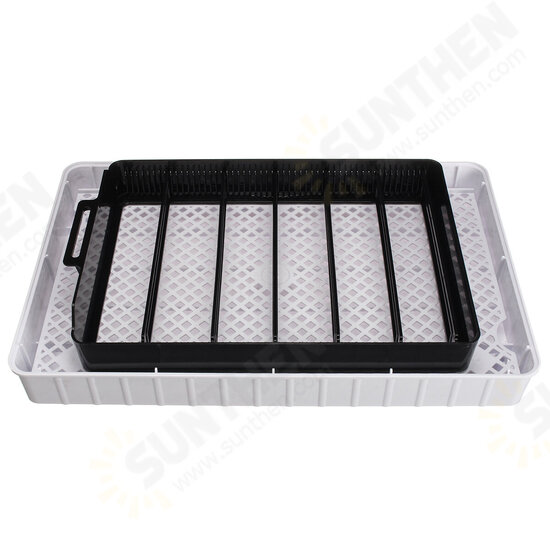 AC 110-220V 20 Eggs Incubator Hatching Chicks Fully Automatic Poultry Hatching Machine Egg Turn