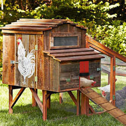 Automatic Chicken Coop Door Opener Light Sensor Automatic Chicken House Door Sensitive Home Pets Dog Animal Cage Automatic Chicken Coop Door Opener Light Sensor Automatic Chicken House Door Sensitive Home Pets Dog Animal Cage