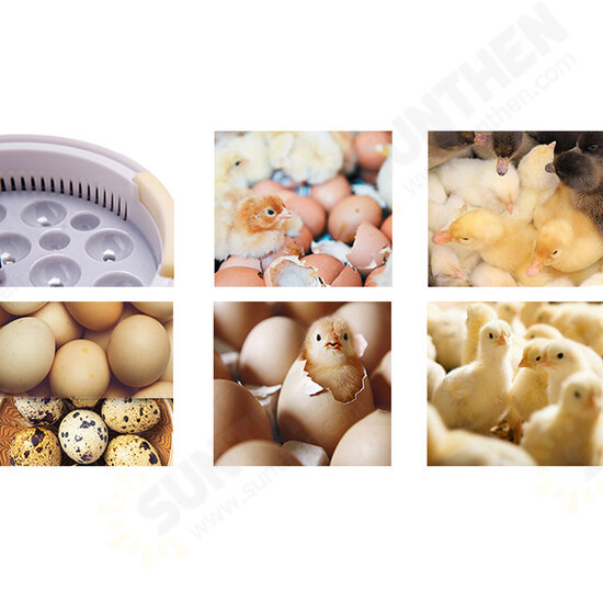 Digital Automatic Incubator 9 Eggs Chicken LED Light Hatcher Turning Temperature Incubator Digital Automatic Incubator 9 Eggs Chicken LED Light Hatcher Turning Temperature Incubator