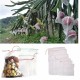 Nylon Mesh Drawstring Net Bag for Aquarium Filter Media Bio Ring Bio-Ball Garden Fruit Protecter