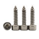 M2SH3 50Pcs M2 304 Stainless Steel Hex Socket Cylinder Cap Head Self Tapping Screw Wood Screws Speaker Screws Optional Length M2SH3 50Pcs M2 304 Stainless Steel Hex Socket Cylinder Cap Head Self Tapping Screw Wood Screws Speaker Screws Optional Length