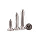 M5SP2 100Pcs M5 304 Stainless Steel Cross Flat Head Self Tapping Screw Wood Screws Speaker Screws Optional Length