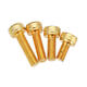 M3ASH3 10pcs M3 Hex Socket Cap Head Screws Alloy Steel Titanium Plated 12.9 Grade M3ASH3 10pcs M3 Hex Socket Cap Head Screws Alloy Steel Titanium Plated 12.9 Grade