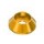 Gold8 