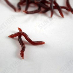 1pc Soft EarthWorm Fishing Lures Silicone Red Worms Bait Plastic 1pc Soft EarthWorm Fishing Lures Silicone Red Worms Bait Plastic