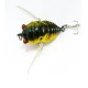 1pcs Cicada Minnow Fishing Lure Hard Tackle Bait Fishing Hook Bass Crankbaits Hook 1pcs Cicada Minnow Fishing Lure Hard Tackle Bait Fishing Hook Bass Crankbaits Hook