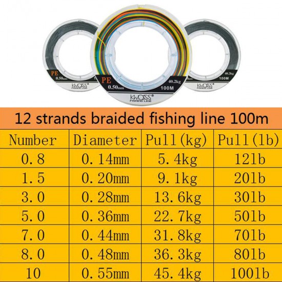 Braided Fishing Line 12 Strands 100m Super Strong PE Braided 12-100LB Silver
