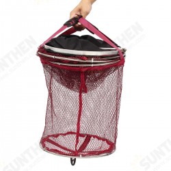 Collapsible Folding Carp Shrimp Fishing Net Cage Fish Tackle Care Creel 3March Collapsible Folding Carp Shrimp Fishing Net Cage Fish Tackle Care Creel 3March