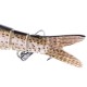 10cm 11.4g Hard Multi Jointed Lure Fishing Bait Fishing Lure