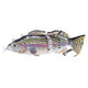 14cm 53g Fishing Electric Lures USB Rechargeable Lures Multi Swimbaits Hard Lures Fishing Tackle