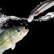 1pc 80mm/3.15inch 8.5g Magnet Minnow Fishing Lure Artificial Hard Bait Hook 3D Eyes Sea Fishing