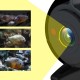 20M Infrared Night Vision Underwater Fishing Finder Portable Waterproof Fishing Camera With 4.3 Inch Screen HD 160-Degree Wide-Angle Camera 20M Infrared Night Vision Underwater Fishing Finder Portable Waterproof Fishing Camera With 4.3 Inch Screen HD 160-Degree Wide-Angle Camera