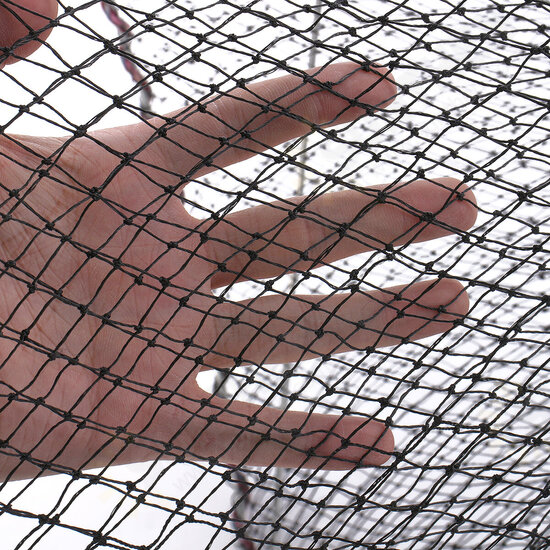 25-50cm Diameter Folding Fishing Net Cage Crabs Fish Crawdad Shrimp Bait Trap Cast Dip Case Fishing Tools 25-50cm Diameter Folding Fishing Net Cage Crabs Fish Crawdad Shrimp Bait Trap Cast Dip Case Fishing Tools