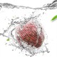 25mm Dissolving PVA Fishing Net Fishing Bait Thrower Fishing Cage Play Nest Device 25mm Dissolving PVA Fishing Net Fishing Bait Thrower Fishing Cage Play Nest Device