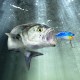 5 Pcs 6.5cm 14g Fishing Lure Fishing Hook Fishing Tackle Bass Bait
