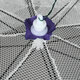 6/8/16 Holes White Foldable Big Fishing Net Lobster Trap Crabs Trap Prawn Cage Folding Prawn Cage Fishing Gear Fishing Trap Shrimp Trap 6/8/16 Holes White Foldable Big Fishing Net Lobster Trap Crabs Trap Prawn Cage Folding Prawn Cage Fishing Gear Fishing Trap Shrimp Trap