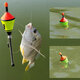 Automatic Fishing Float Fishing Hook Portable Fishing Device Adjustable Sensitive Fast Fishing Fishing Tools