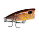 DW1120 10Pcs/Set 4.2cm 3.5g Carp Fishing Lure Topwater Popper Fishing Bait Artifical Wobbler DW1120 10Pcs/Set 4.2cm 3.5g Carp Fishing Lure Topwater Popper Fishing Bait Artifical Wobbler