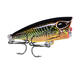 DW1120 10Pcs/Set 4.2cm 3.5g Carp Fishing Lure Topwater Popper Fishing Bait Artifical Wobbler DW1120 10Pcs/Set 4.2cm 3.5g Carp Fishing Lure Topwater Popper Fishing Bait Artifical Wobbler