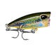DW1120 10Pcs/Set 4.2cm 3.5g Carp Fishing Lure Topwater Popper Fishing Bait Artifical Wobbler DW1120 10Pcs/Set 4.2cm 3.5g Carp Fishing Lure Topwater Popper Fishing Bait Artifical Wobbler
