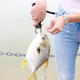Fishing Pliers Stainless Steel Multifunctional Fish Gripper Tackle Outdoor Portable Fishing Tool Fishing Pliers Stainless Steel Multifunctional Fish Gripper Tackle Outdoor Portable Fishing Tool