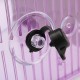 Mini Pool Ecosystem Aquarium Fish Tank With LED Light Fish Aquarium Tank Divider Filter Water For Small Fish Mini Pool Ecosystem Aquarium Fish Tank With LED Light Fish Aquarium Tank Divider Filter Water For Small Fish
