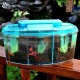 Mini Pool Ecosystem Aquarium Fish Tank With LED Light Fish Aquarium Tank Divider Filter Water For Small Fish Mini Pool Ecosystem Aquarium Fish Tank With LED Light Fish Aquarium Tank Divider Filter Water For Small Fish