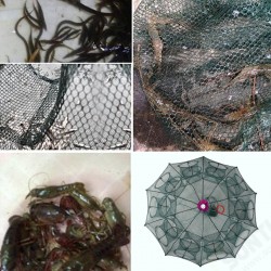 4/6/8/10/12/16/20 Hole Automatic Fishing Trap Folding Nylon Fishing Net For Fish Eel Crab Shrimp Trap 4/6/8/10/12/16/20 Hole Automatic Fishing Trap Folding Nylon Fishing Net For Fish Eel Crab Shrimp Trap
