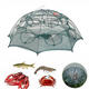 4/6/8/10/12/16/20 Hole Automatic Fishing Trap Folding Nylon Fishing Net For Fish Eel Crab Shrimp Trap 4/6/8/10/12/16/20 Hole Automatic Fishing Trap Folding Nylon Fishing Net For Fish Eel Crab Shrimp Trap