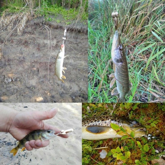 DW384 1pc 5g 15g 35g 50g Metal DD Spinner Spoon Lure Fishing Lure Freshwater Sea Fishing DW384 1pc 5g 15g 35g 50g Metal DD Spinner Spoon Lure Fishing Lure Freshwater Sea Fishing