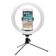 10inch LED Ring Fill Light 3Modes of Color Temperature Colorful RGB Live Broadcast Desktop Phone Holder Tripod Stand Selfie for YouTube Tiktok Vlog