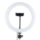 10 inch Portable Stepless Adjustable LED Ring Full Light Makeup Mirror Light Photography Lighting Selfie Ring Lamp with Phone Holder