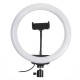 10 inch RGB LED Selfie Ring Fill Light Dimmable Studio Ring Lamp for Beauty Broadcast