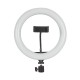 10 inch Remote Control LED Selfie Ring Light with Tripod Stand for Live Shooting Makeup Artifact Fill Light