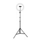 10 inch Remote Control LED Selfie Ring Light with Tripod Stand for Live Shooting Makeup Artifact Fill Light