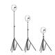 BW-SL2 10 Inch USB LED Ring Light Selfie Tripod for VK Tiktok Youtube Live Makeup with 160cm Stand