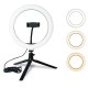 Desktop LED Live Ring Light 10 inch Fill Light with Mini Tripod Stand USB Power Phone Holder for Youtube Tiktok Makeup Live Streaming