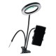 Flexible Arm Stepless Dimmable 3 Color Modes 10X LED Magnifying Lamp with Clamp