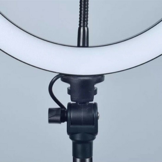 Mobile Phone Live Stand Fill Light Tripod LED Ring Light for Selfie Stick