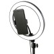 Ring Fill Light Lamp 12W Live Light USB Power Flat Ring Light LED Lamp with Phone Holder