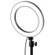 Ring Fill Light Lamp 12W Live Light USB Power Flat Ring Light LED Lamp with Phone Holder