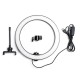 Ring Fill Light Lamp 12W Live Light USB Power Flat Ring Light LED Lamp with Phone Holder