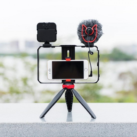 PC203/PC204 Dual Handheld Video Cage Rig Stabilizer Kit Support Recording with Microphone Tripod Phone Adjustable Video Stabilizer Grip Tripod Mount